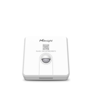 WS203